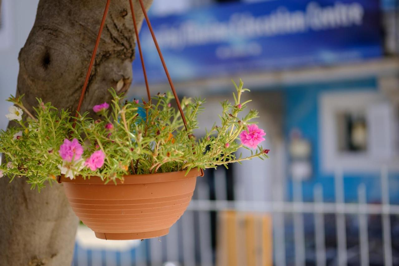 Hotel Vila Conte Veli Lošinj Zewnętrze zdjęcie